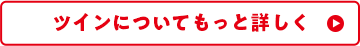 ツインについてもっと詳しく